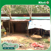 listing thumbnail image 17