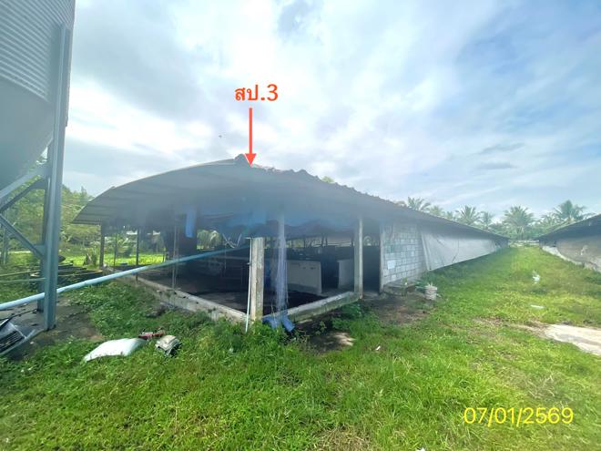รูป ฟาร์ม 1603 ตร.วา เมืองพัทลุง พัทลุง 7M - รูปที่ 4/24