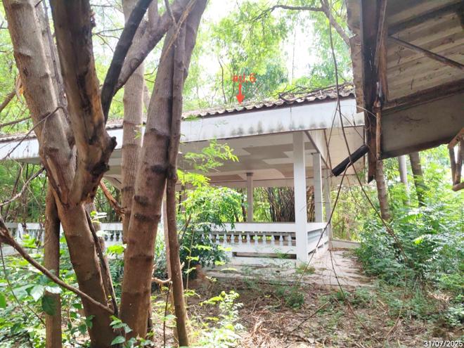 รูป โรงสี 5660 ตร.วา ดอนเจดีย์ สุพรรณบุรี 25.6M - รูปที่ 24/58