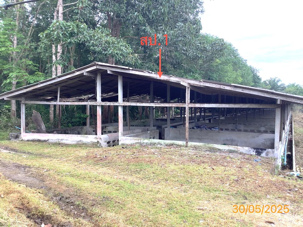 picture LAND 3649 Sq.w. Chalermphrakiet Nakhon Sri Thammarat for 9.9M - 18/38