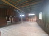 listing thumbnail image 51