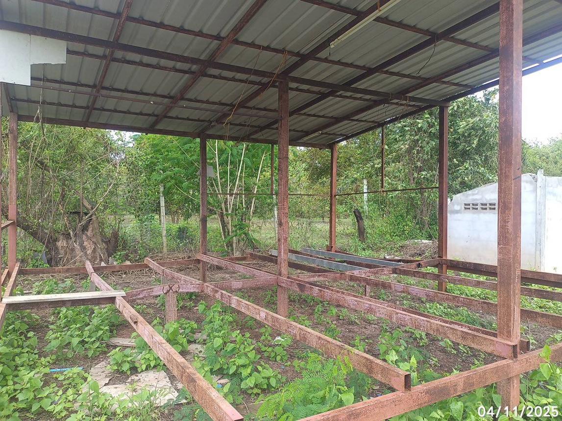 รูป เพิงอเนกประสงค์ 2778.4 ตร.วา ตระการพืชผล อุบลราชธานี 1.2M - รูปที่ 12/20
