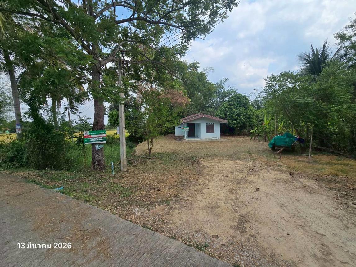 รูป บ้านเดี่ยว 270.9 ตร.วา ลาดยาว นครสวรรค์ 1.1M - รูปที่ 14/28