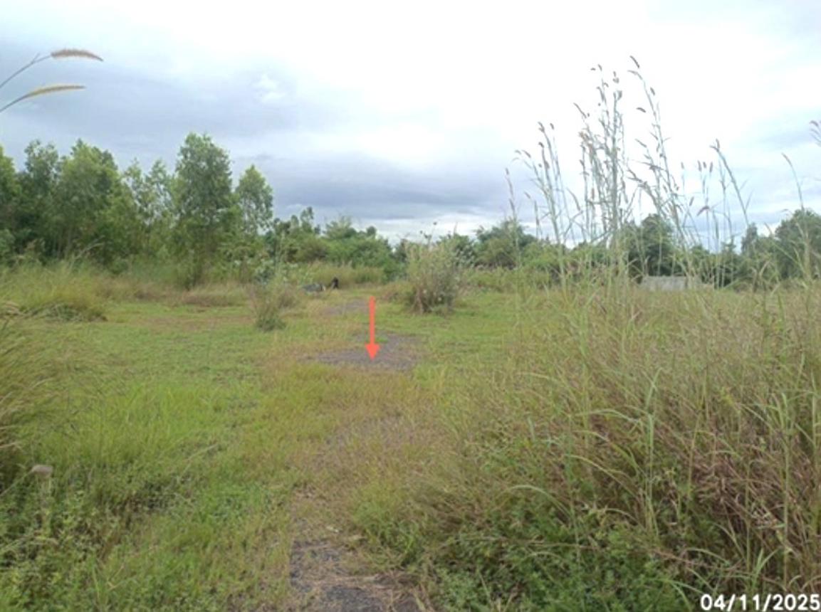 รูป เพิงอเนกประสงค์ 2778.4 ตร.วา ตระการพืชผล อุบลราชธานี 1.2M - รูปที่ 14/20