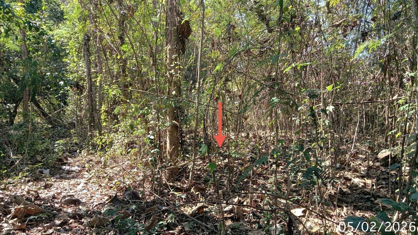 picture HOME 353 Sq.w. Long Phrae for 713,000 - 17/24