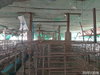 listing thumbnail image 29