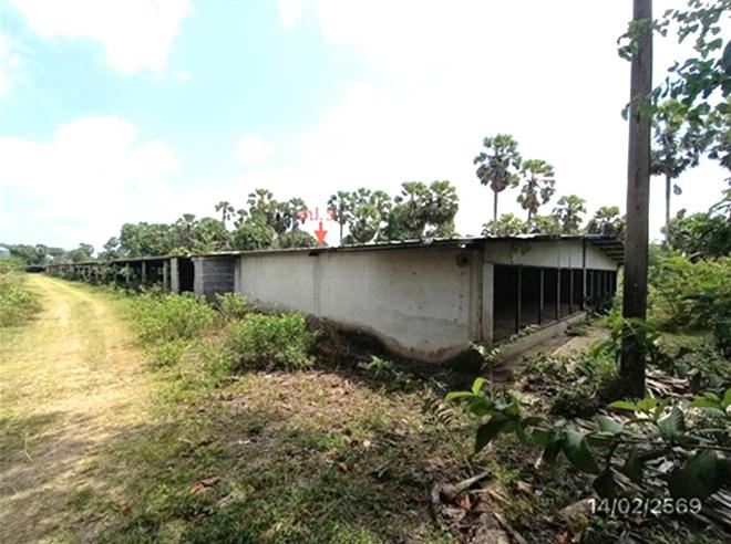 รูป ฟาร์ม 3464 ตร.วา สทิงพระ สงขลา 9.7M - รูปที่ 6/48