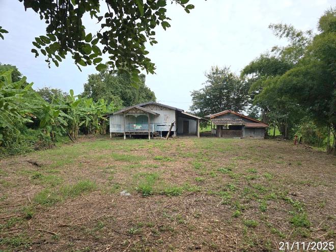 รูป บ้านเดี่ยว 247 ตร.วา ดงเจริญ พิจิตร 403,000 - รูปที่ 2/42