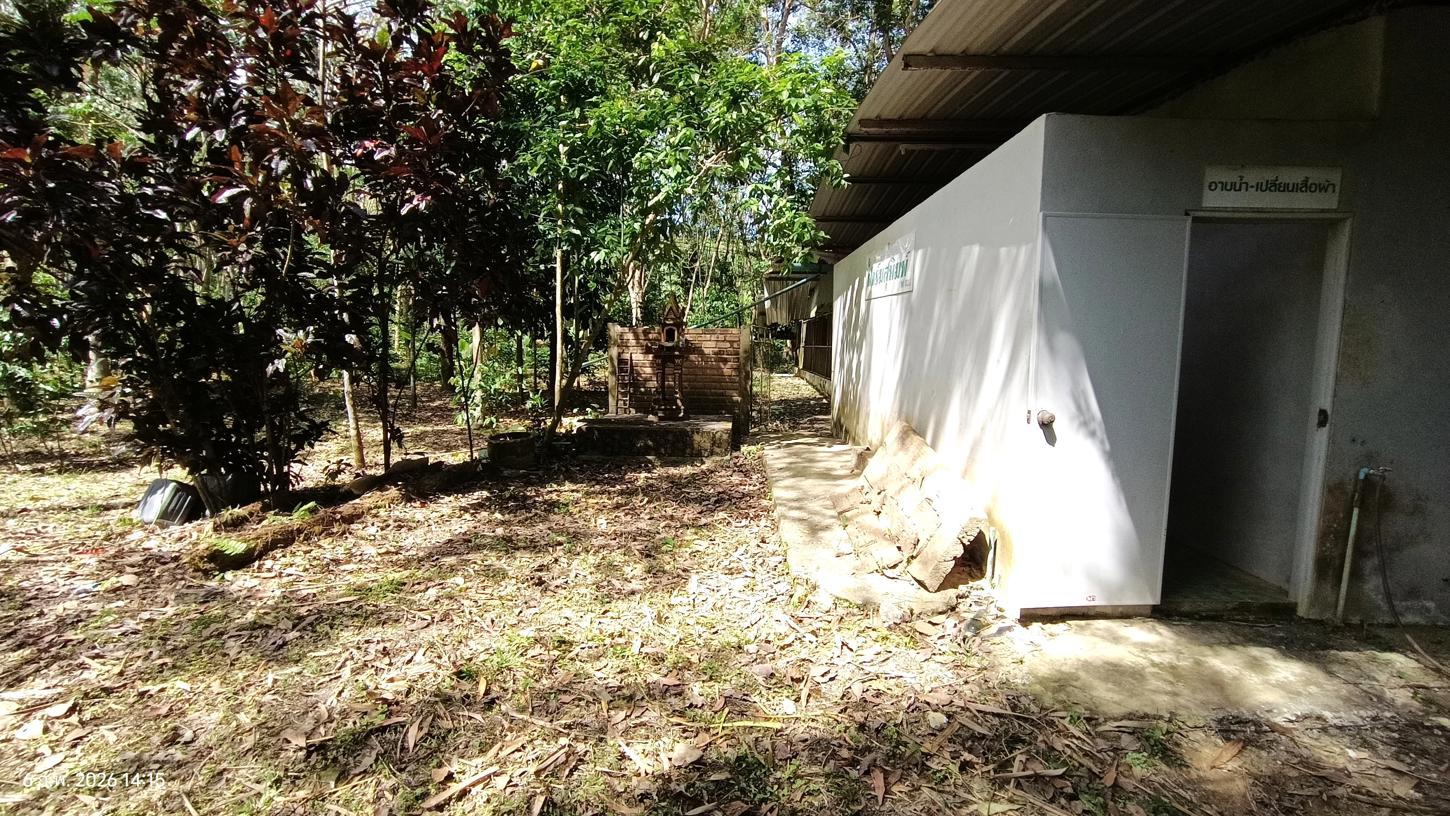 รูป เพิงอเนกประสงค์ 4000 ตร.วา ศรีนครินทร์ พัทลุง 5.1M - รูปที่ 24/40