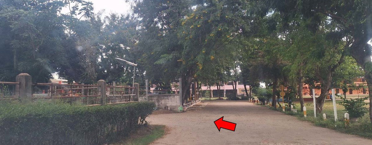 picture LAND 411.5 Sq.w. Sikhiu Nakhon Ratchasima for 822,000 - 9/12