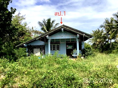 บ้านเดี่ยว นครศรีธรรมราช : บ้านเดี่ยว 7556 ตร.วา ปากพนัง นครศรีธรรมราช 12M