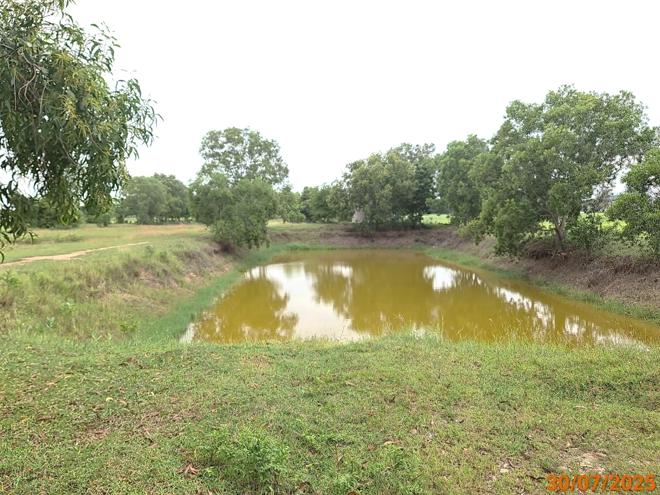 รูป ฟาร์ม 3846 ตร.วา กระสัง บุรีรัมย์ 4.7M - รูปที่ 14/34