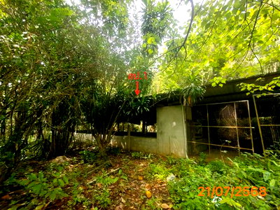 บ้านเดี่ยว 4455.3 ตร.วา ตะกั่วทุ่ง พังงา 3.8M