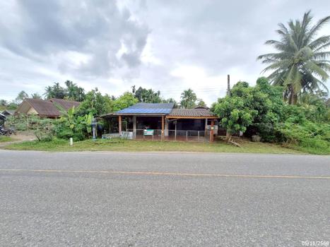 รูป บ้านเดี่ยว 77 ตร.วา ตะโหมด พัทลุง 1.5M - รูปที่ 33/36