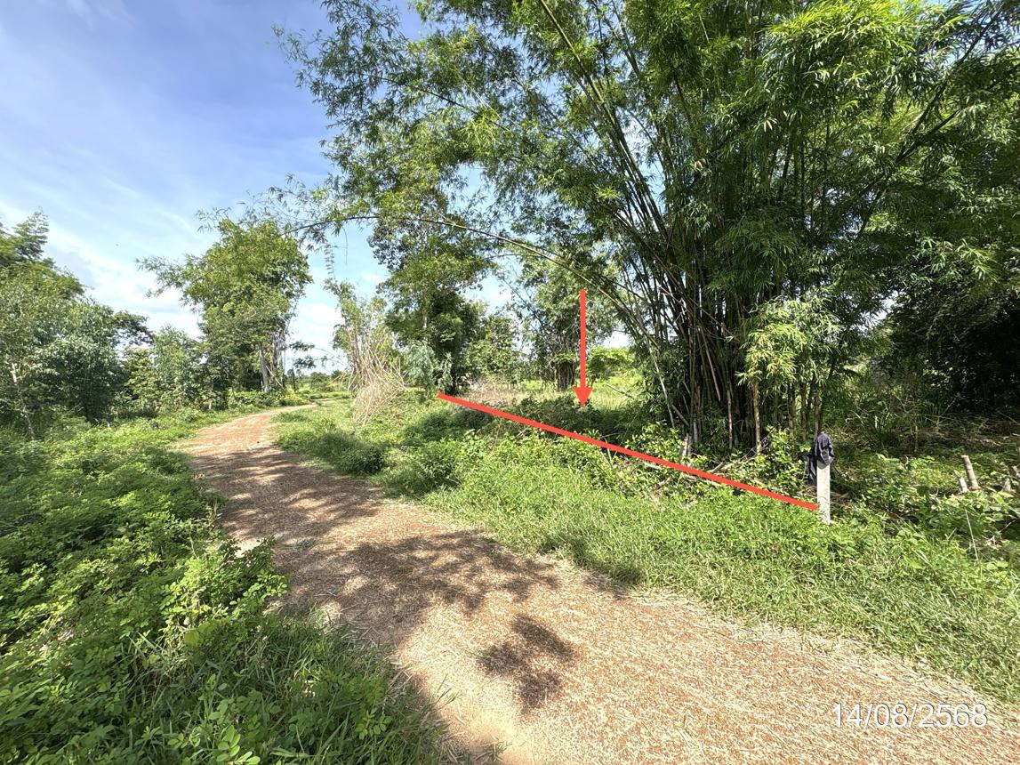 picture HOME 2538.4 Sq.w. Samrong Ubon Ratchathani for 1.8M - 9/16