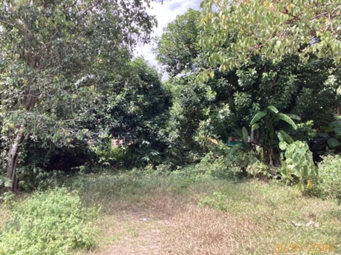 picture HOME 232.2 Sq.w. Muang Krabi Krabi for 2.8M - 11/16