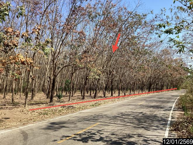 picture LAND 11227 Sq.w. Nongkai for 9M - 3/24