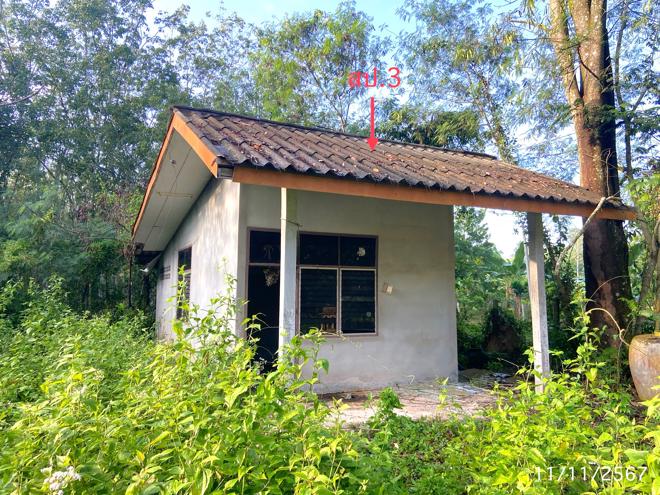 รูป ฟาร์ม 1709.6 ตร.วา ป่าบอน พัทลุง 3.2M - รูปที่ 12/40