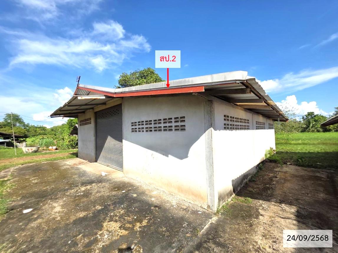 รูป บ้านเดี่ยว 3969 ตร.วา เจริญศิลป์ สกลนคร 5.6M - รูปที่ 15/24