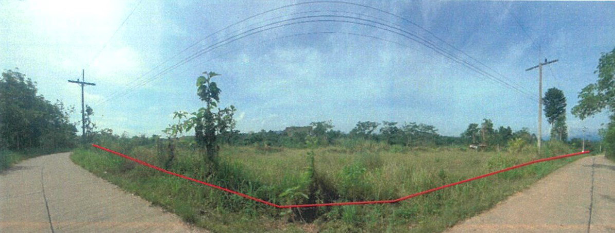 picture LAND 2454.6 Sq.w. Khiri Ratthanikhom Surat Thani for 1.8M - 6/9