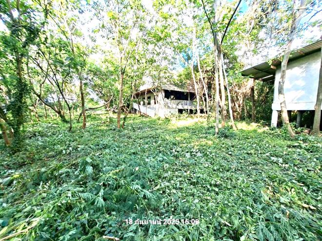 picture LAND 27277 Sq.w. Phra Phutthabat Saraburi for 29.7M - 15/42