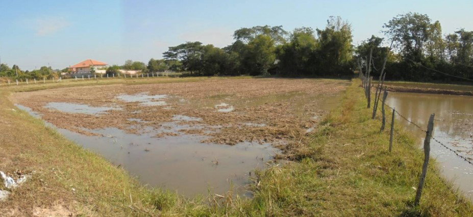 picture LAND 6148 Sq.w. Wapi Pathum Maha Sarakham for 4.2M - 2/6