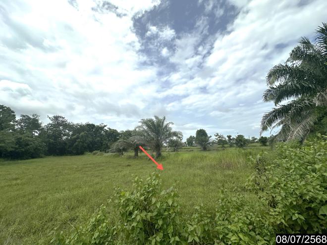 รูป บ้านเดี่ยว 10506.7 ตร.วา เดชอุดม อุบลราชธานี 2.3M - รูปที่ 9/26