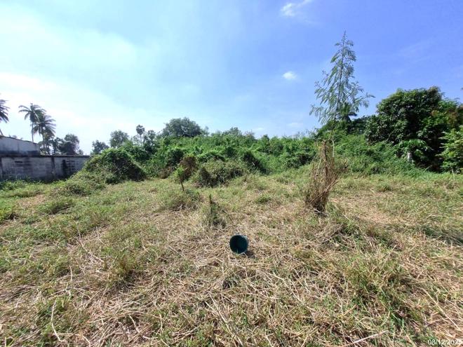 picture FACTORY 1213.8 Sq.w. Muang Nakhon Pathom Nakhon Pathom for 4.6M - 11/26