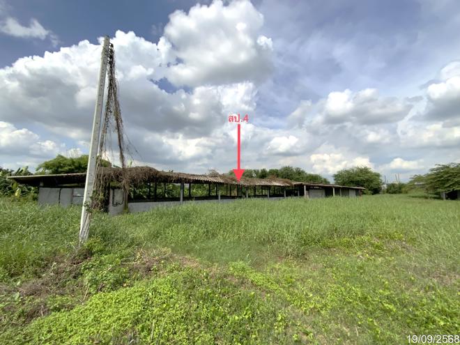 picture LAND 3345 Sq.w. Tha Wung Lopburi for 9.3M - 2/50