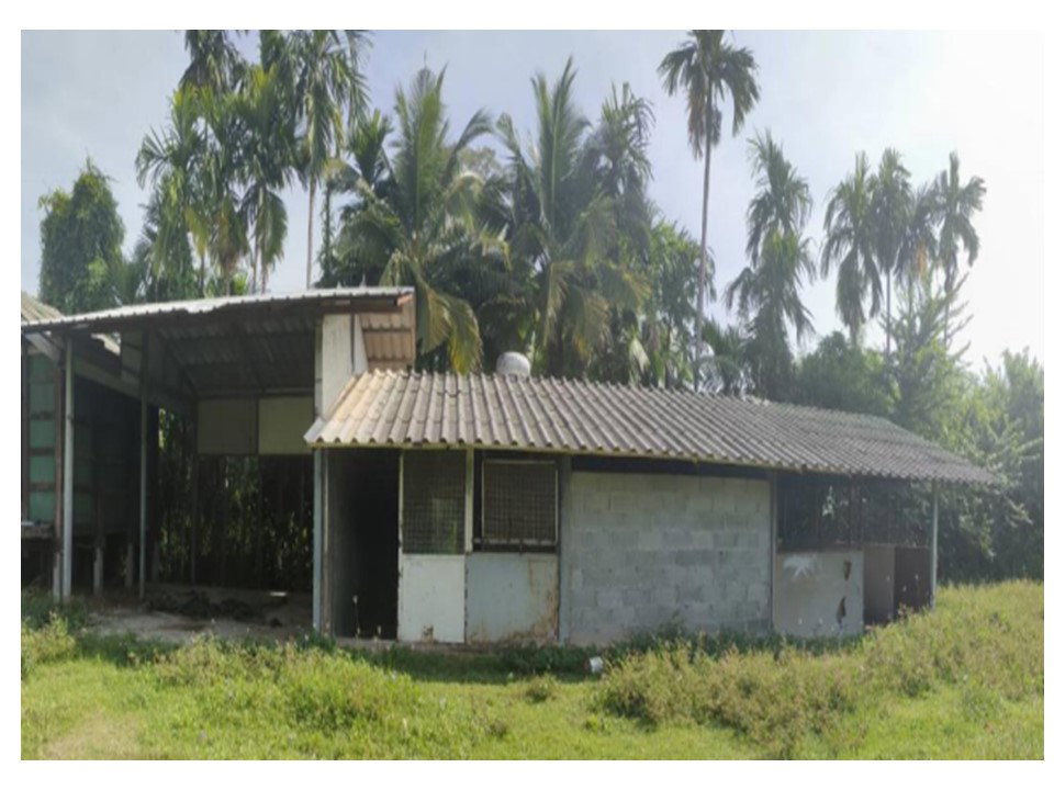 picture LAND 310 Sq.w. Phayu Si Sa Ket for 633,000 - 3/5