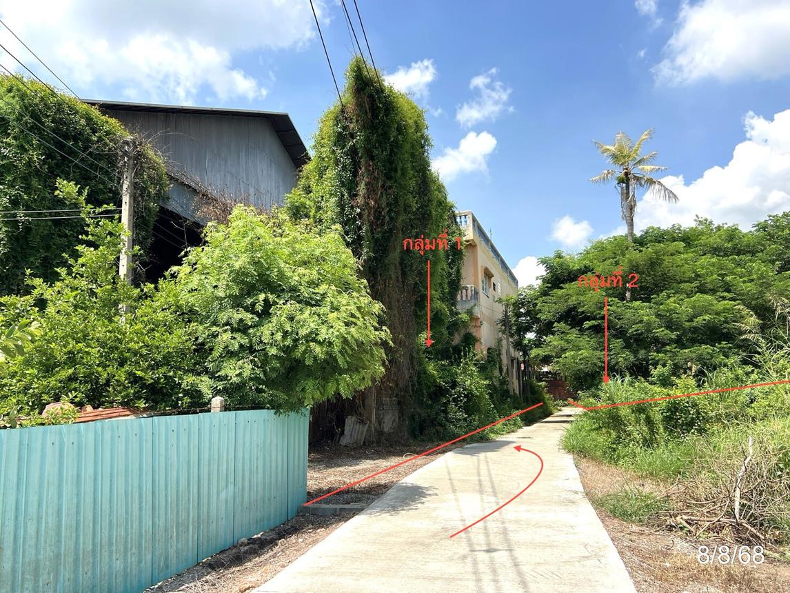 รูป โรงสี 3291 ตร.วา สรรพยา ชัยนาท 14M - รูปที่ 59/64