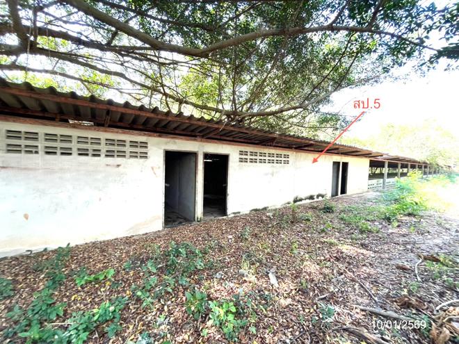 picture LAND 12644 Sq.w. Ko Chan Chonburi for 14.6M - 9/44