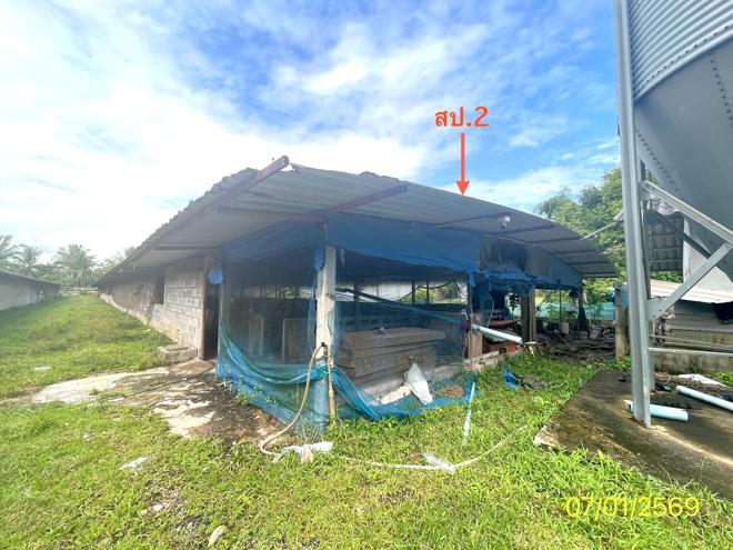 รูป ฟาร์ม 1603 ตร.วา เมืองพัทลุง พัทลุง 7M - รูปที่ 3/24