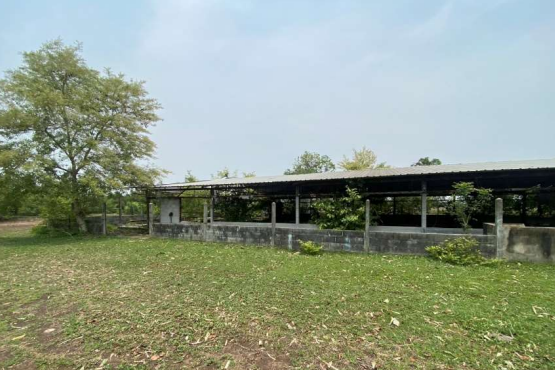 picture LAND 8607 Sq.w. Pathumrat Roi Et for 2.8M - 1/3