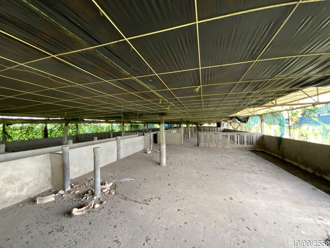 picture LAND 3345 Sq.w. Tha Wung Lopburi for 9.3M - 42/50