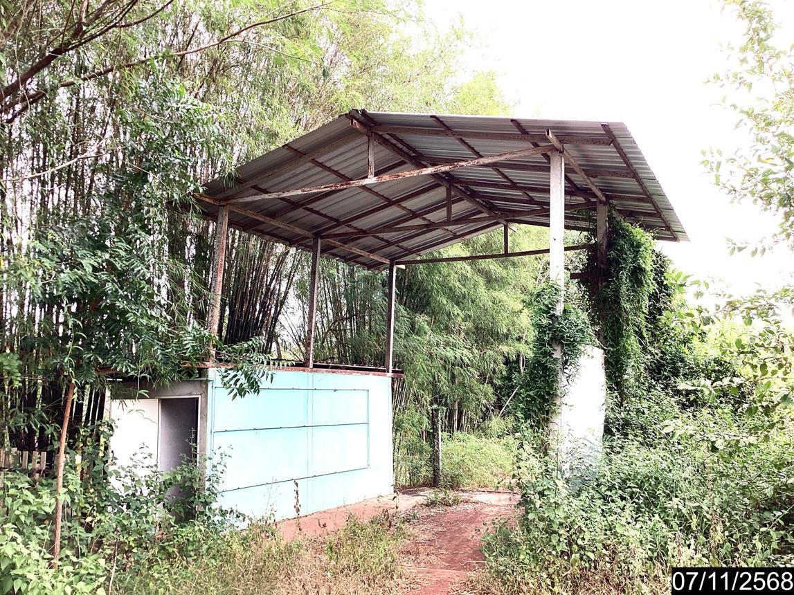 รูป ฟาร์ม 14688 ตร.วา เมืองหนองคาย หนองคาย 3.8M - รูปที่ 13/24