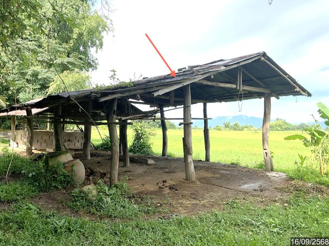 picture HOME 1063 Sq.w. Phaya Mengrai Chiang Rai for 5.2M - 11/50