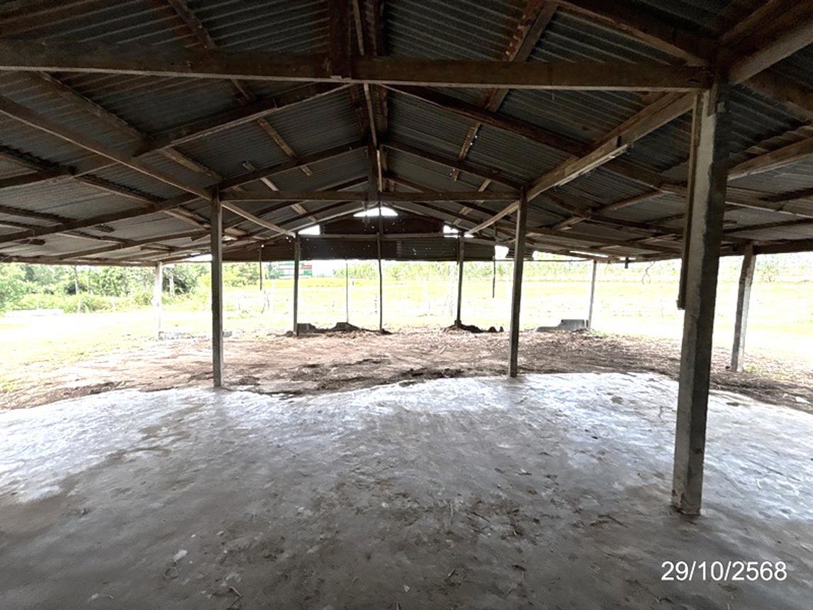 รูป บ้านเดี่ยว 1140 ตร.วา ชุมพลบุรี สุรินทร์ 1.8M - รูปที่ 22/34