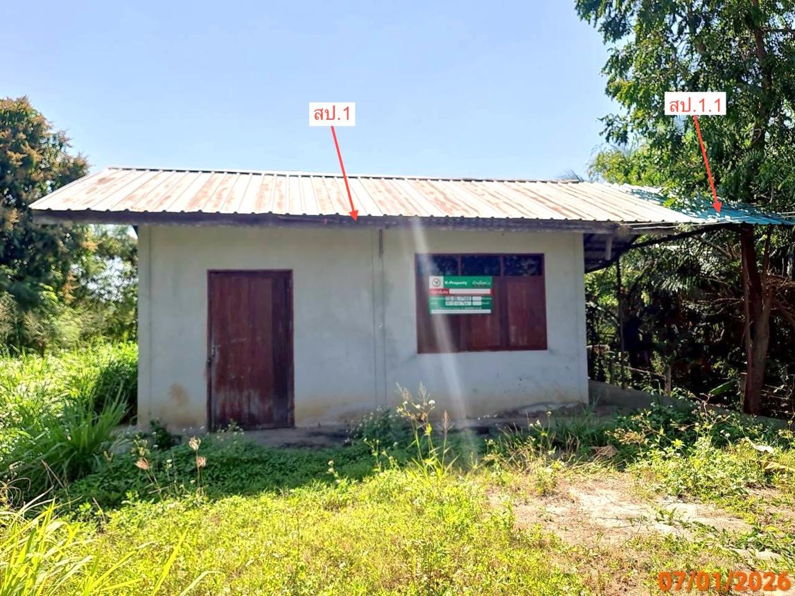 รูป บ้านเดี่ยว 200 ตร.วา ปักธงชัย นครราชสีมา 1.1M - รูปที่ 11/24