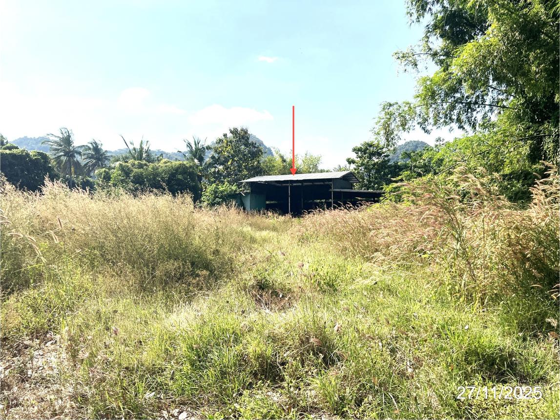 picture FACTORY 1686.3 Sq.w. Nong Chang Uthai Thani for 856,000 - 20/24