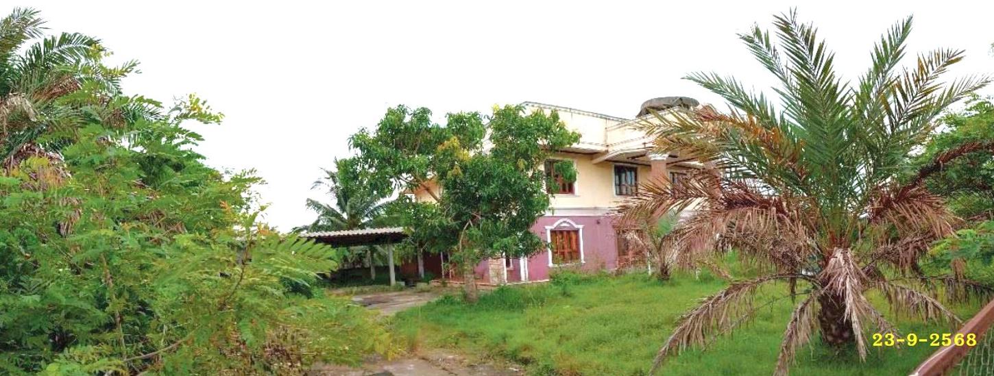 รูป บ้านเดี่ยว 263 ตร.วา เมืองยะลา ยะลา 4.1M - รูปที่ 6/12