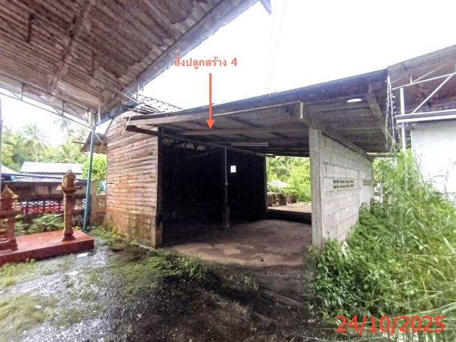 รูป บ้านเดี่ยว 245 ตร.วา สะบ้าย้อย สงขลา 3.1M - รูปที่ 14/50