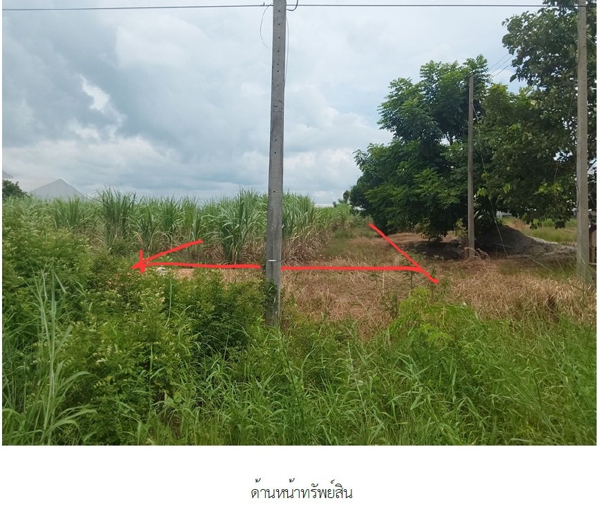 รูป โกดัง 26756 ตร.วา พรหมพิราม-พิษณุโลก พรหมพิราม พิษณุโลก 178.3M - รูปที่ 2/16