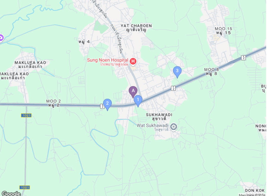 picture LAND 979 Sq.w. Sung Noen Nakhon Ratchasima for 10.1M - 2/2