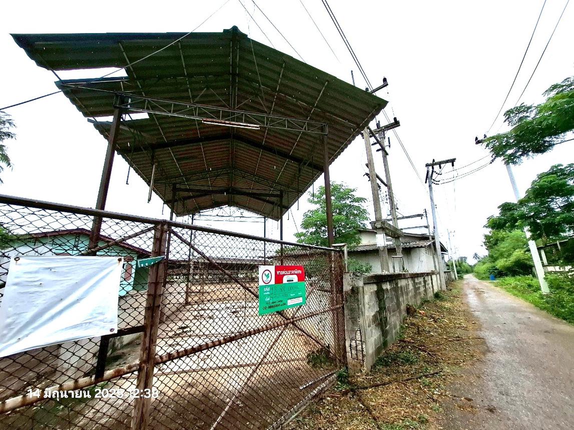 รูป ฟาร์ม 10017 ตร.วา โพธาราม ราชบุรี 16.4M - รูปที่ 17/36