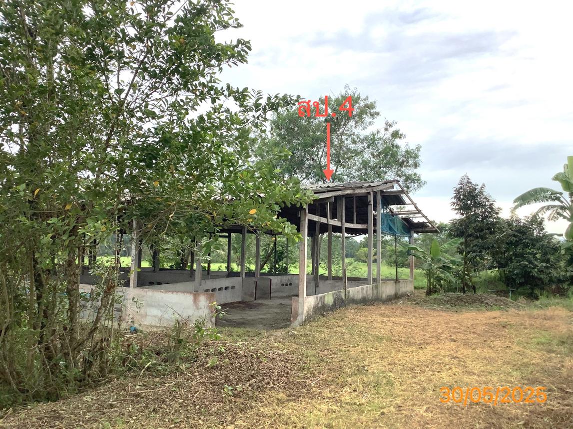 picture LAND 3649 Sq.w. Chalermphrakiet Nakhon Sri Thammarat for 9.9M - 29/38