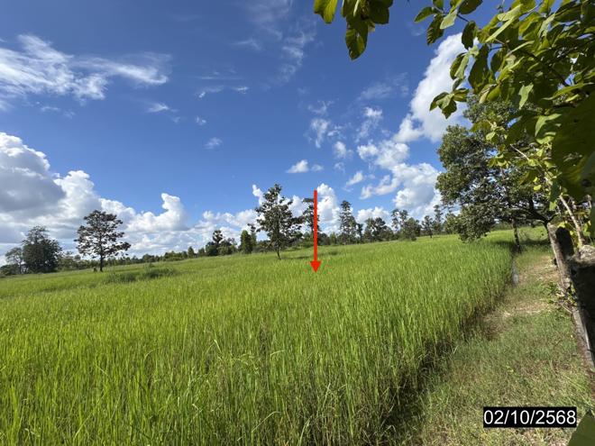 รูป เพิงอเนกประสงค์ 4244.4 ตร.วา วารินชำราบ อุบลราชธานี 1.4M - รูปที่ 8/24