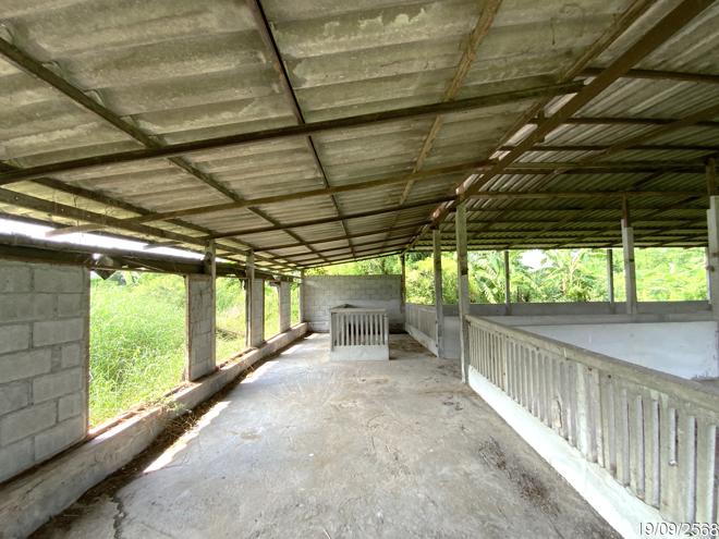 picture LAND 3345 Sq.w. Tha Wung Lopburi for 9.3M - 3/50