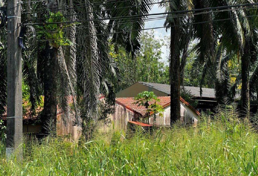 picture LAND 1446.8 Sq.w. Muang Krabi Krabi for 6.2M - 2/6