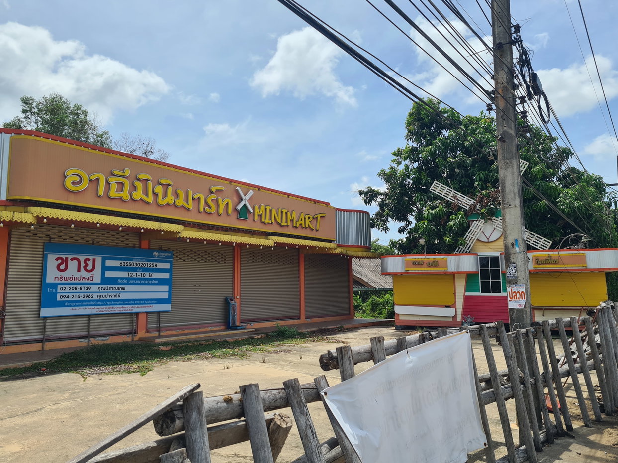 picture LAND 4910 Sq.w. Phunphin Surat Thani for 21.9M - 1/10